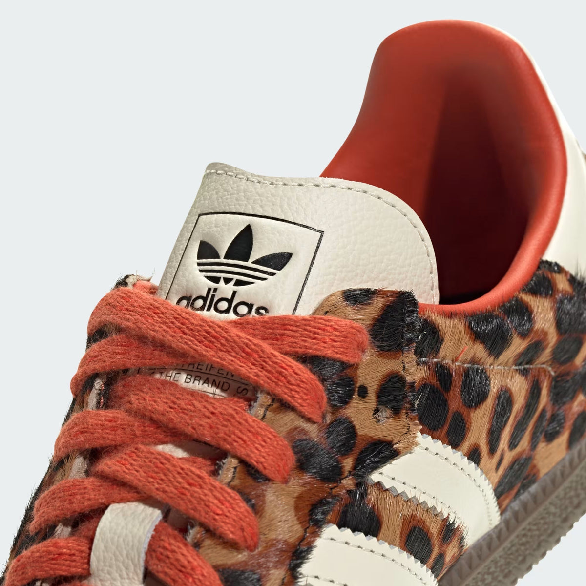 SAMBA OG